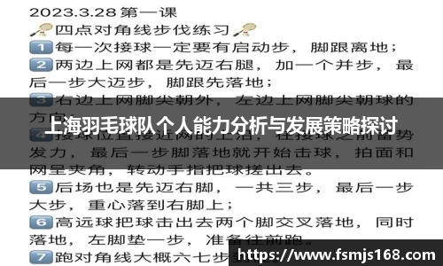 上海羽毛球队个人能力分析与发展策略探讨