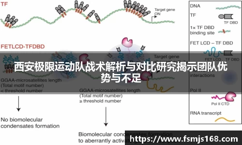 博鱼官方网站