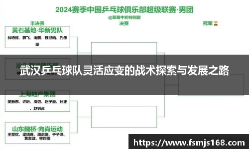 武汉乒乓球队灵活应变的战术探索与发展之路