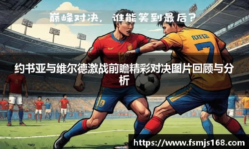 约书亚与维尔德激战前瞻精彩对决图片回顾与分析