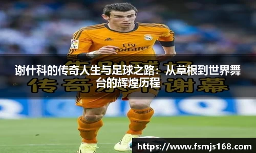 谢什科的传奇人生与足球之路：从草根到世界舞台的辉煌历程