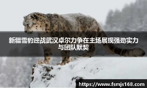 新疆雪豹迎战武汉卓尔力争在主场展现强劲实力与团队默契
